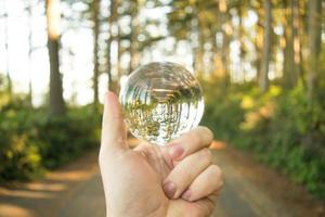 Person holding lensball in park photo