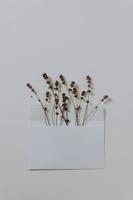 Dried flowers in envelope photo