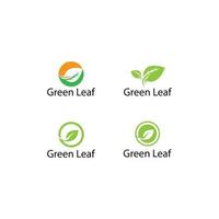 Tree leaf logo template set vector
