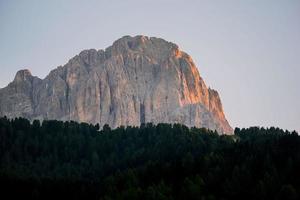 Silhouette of trees in front of mountain photo