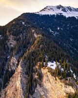 Aerial photography of pine trees on mountain photo