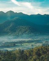 Forest mountain above fog photo