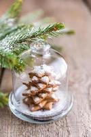 Homemade sweet Christmas tree under the glass dome photo