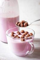 Fruit yogurt with  chocolate topping in the glass bowl photo