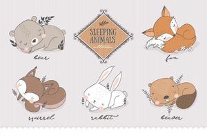 Sleeping forest characters collection.  vector