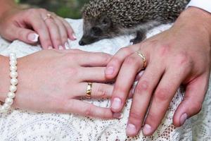 Brides and groom hands