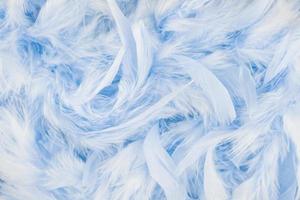 Blue feathers background photo