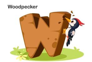 W for Woodpecker vector