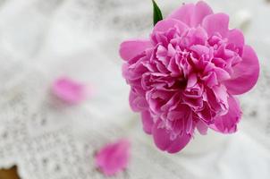 Pink peony in jug on vintage lace tablecloth photo