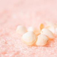 light sea shells on soft pink terry texture, closeup photo