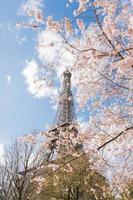 la torre Eiffel foto