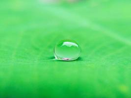 Close-up of a rain drop on leaf photo