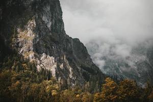 árboles y montañas cambiantes foto