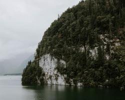 árboles en el acantilado cerca del cuerpo de agua foto