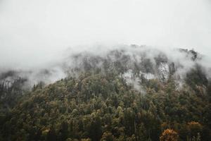 Mountain with trees under cloudy sky
