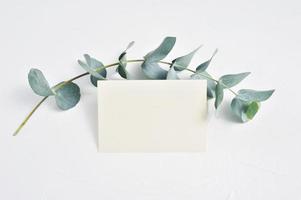 Mock up of eucalyptus leaves and paper photo