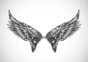 Hand Drawn Bird Wing Sketch Design vector