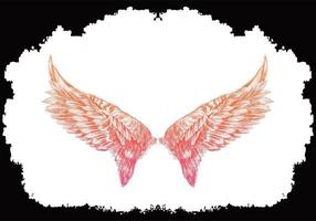 Pink Bird Wings Sketch Background vector