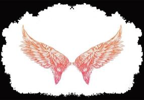 Pink Bird Wings Sketch Background vector