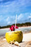 cocos en la playa foto