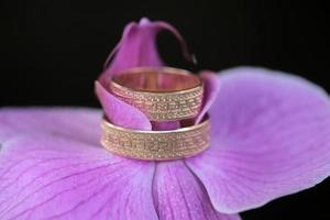 anillos de boda y orquídea