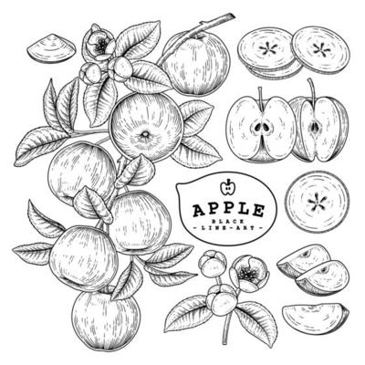 Hand drawn apple retro set 