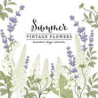 Lavender and Lupine drawing set vector