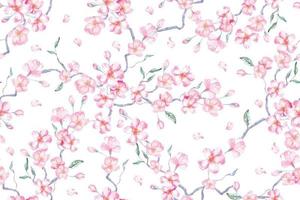 Seamless pattern watercolor sakura cherry blossom vector