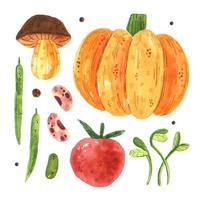 Pumpkin, mushroom, tomato, pea, bean, micro green. vector