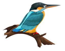Blue Kingfisher Bird Perching on Branch vector