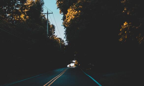 camino y arboles foto