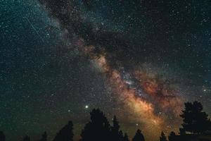 silueta de árboles bajo la noche estrellada foto