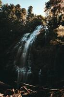 Waterfalls in forest during daytime photo