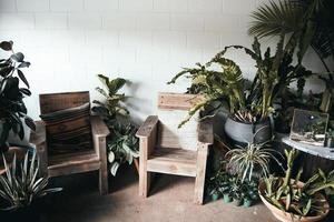Two armchairs with green plants photo