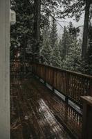 Wooden deck in forest photo