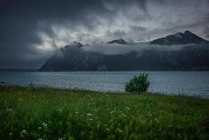 campo de hierba verde cerca del cuerpo de agua foto