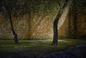 Brown brick wall photo