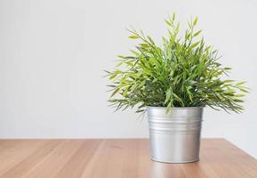 Green plant in galvanized metal bucket photo