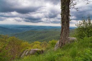 Tree with mountains and dark cloudy sky photo