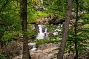 Cunningham Falls in Maryland photo
