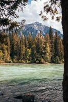 River surrounded with trees photo