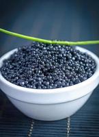 caviar negro foto