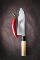 japanese Knife with Chili