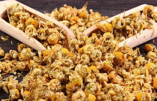 Dried chamomile on wooden table, alternative medicine photo