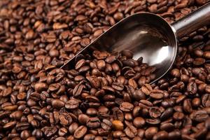 roasted coffee beans with scoop photo
