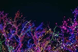 Trees covered in colorful string lights at night