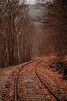 Railroad track in an autumn forest photo