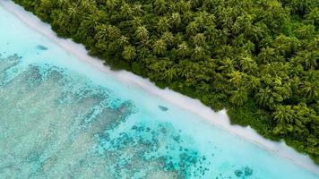 Aerial view of seashore  photo