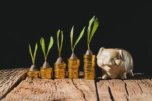 Piggy bank with stacks of coins photo