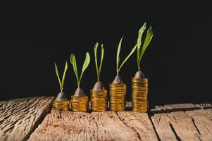 Gold coins and plants growing on them photo